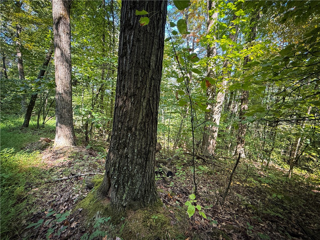 0 Worden Road Waverly, NY 14892 - Photo 29 of 42