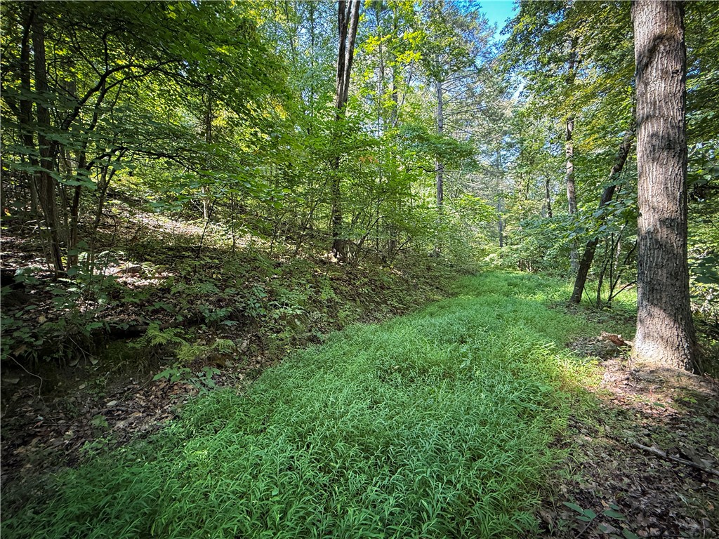 0 Worden Road Waverly, NY 14892 - Photo 30 of 42