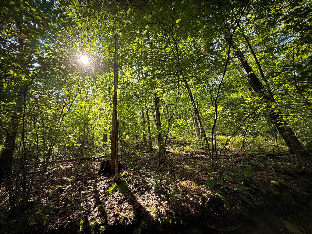 0 Worden Road Waverly, NY 14892 - Photo 31 of 42