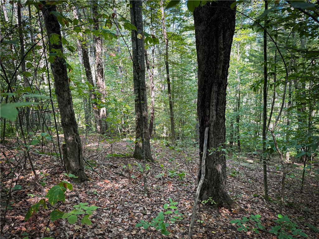 0 Worden Road Waverly, NY 14892 - Photo 32 of 42