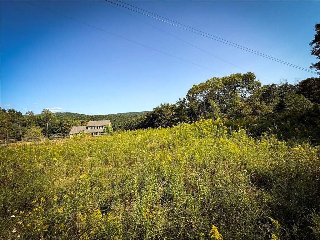 0 Worden Road Waverly, NY 14892 - Photo 33 of 42