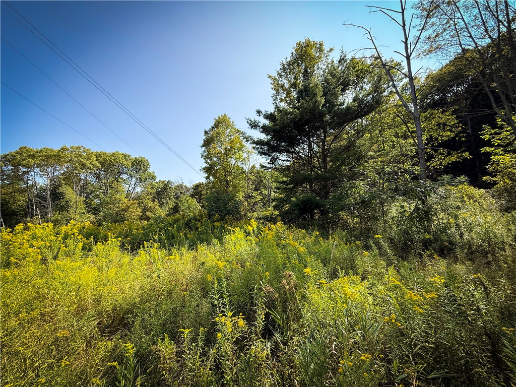 0 Worden Road Waverly, NY 14892 - Photo 34 of 42