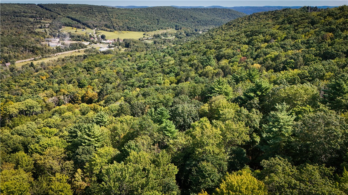 0 Worden Road Waverly, NY 14892 - Photo 36 of 42