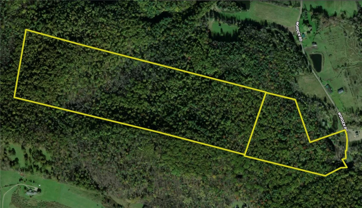 0 Worden Road Waverly, NY 14892 - Photo 39 of 42