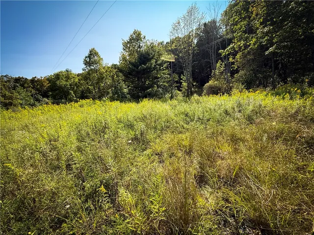 $175,000 | 0 Worden Road, Waverly, NY 14892