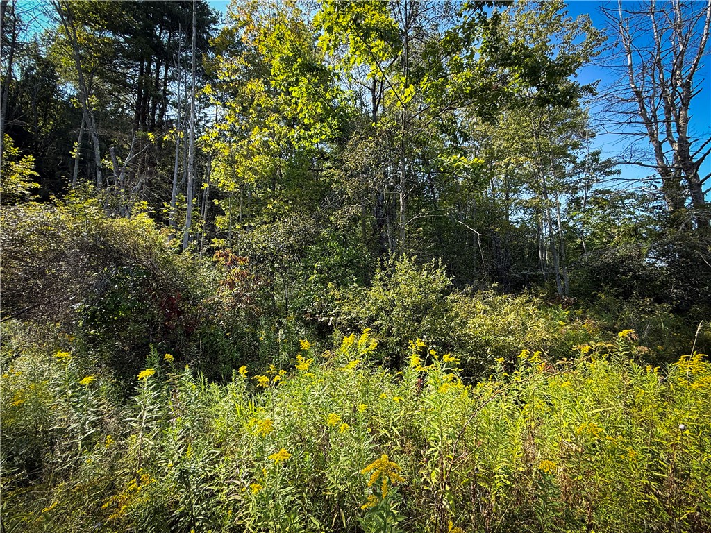 0 Worden Road Waverly, NY 14892 - Photo 5 of 42