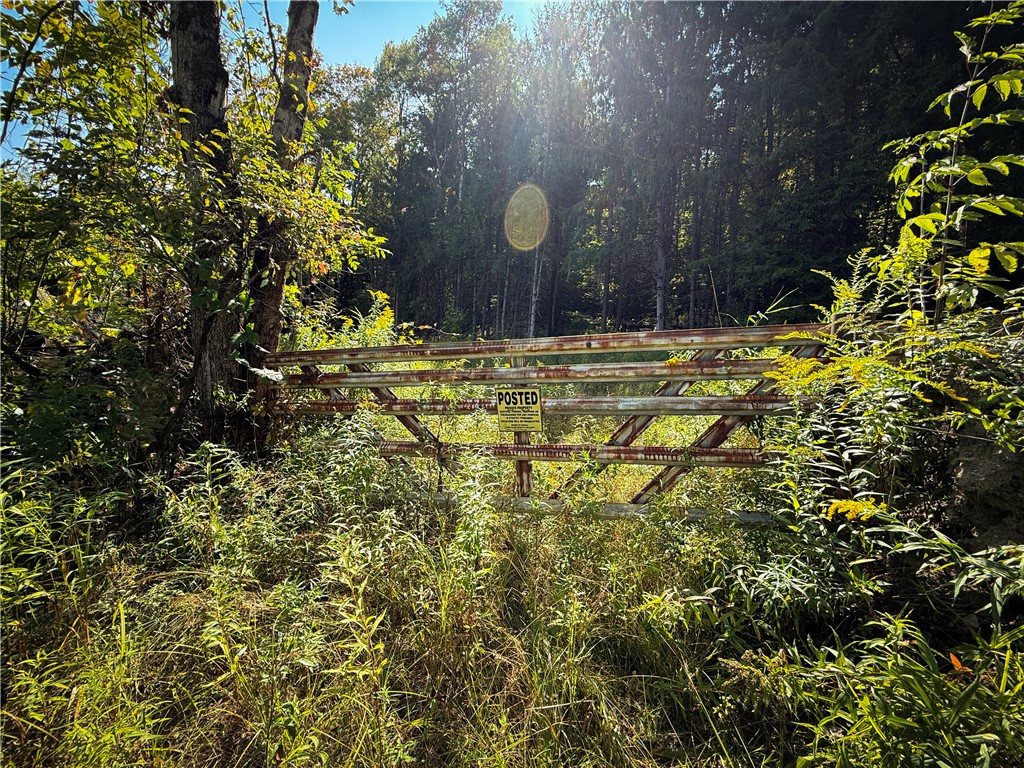 0 Worden Road Waverly, NY 14892 - Photo 6 of 42