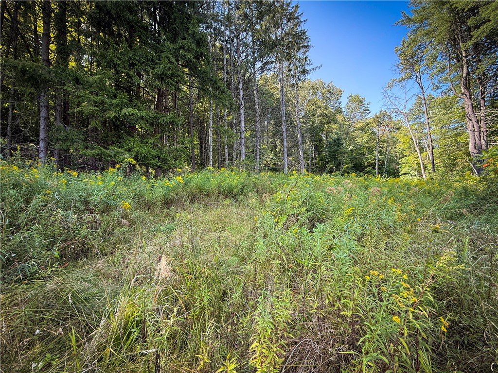 0 Worden Road Waverly, NY 14892 - Photo 8 of 42