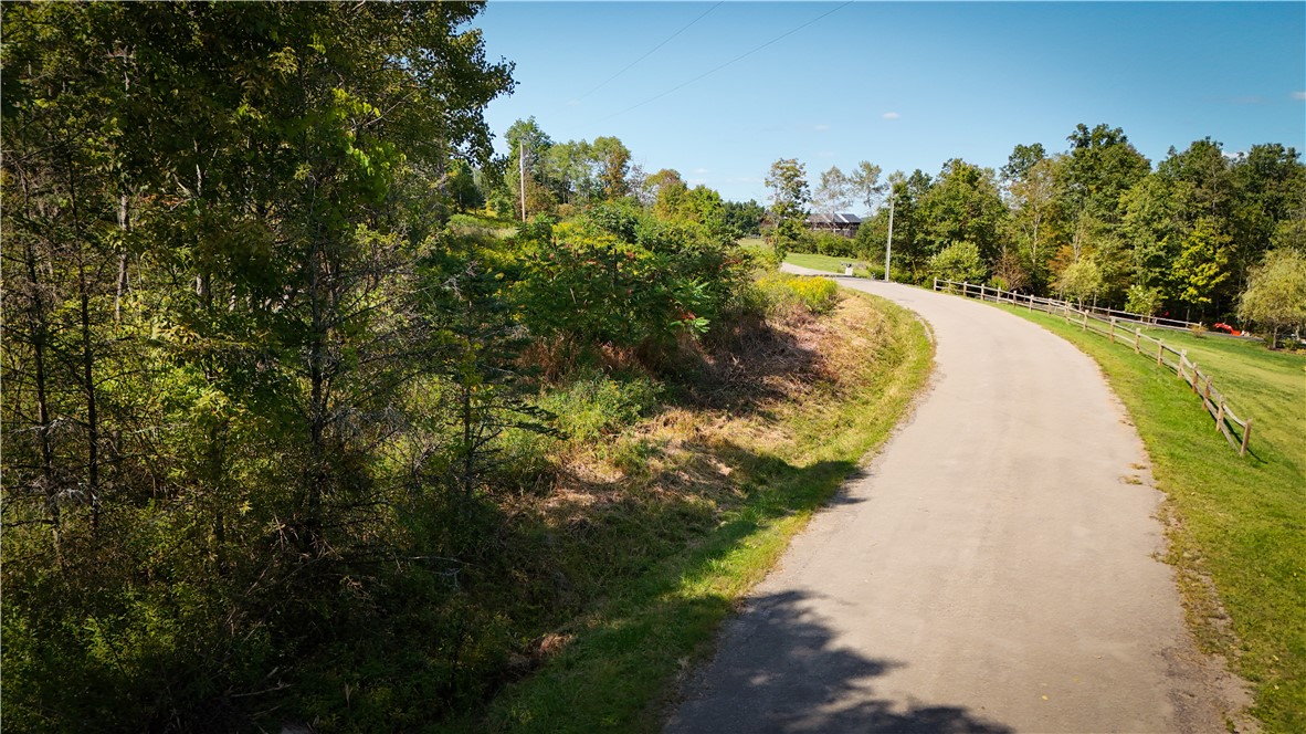 0 Worden Road Waverly, NY 14892 - Photo 9 of 42