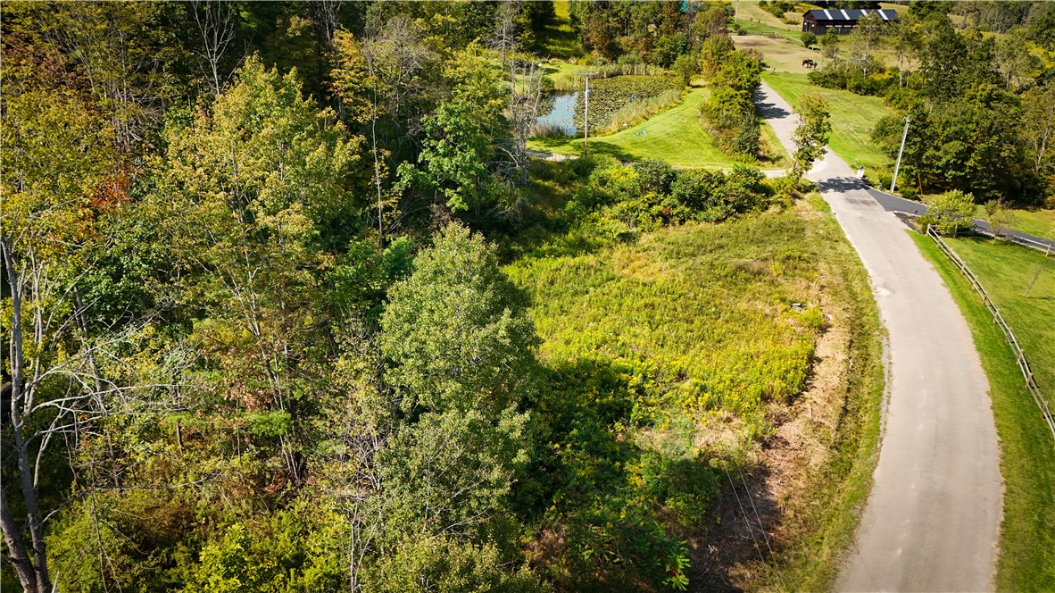 0 Worden Road Waverly, NY 14892 - Photo 10 of 42