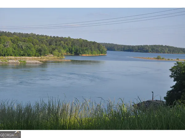 a view of a lake with a yard and large trees