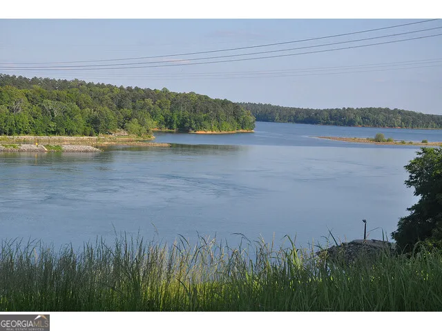 a view of a lake with a yard and large trees