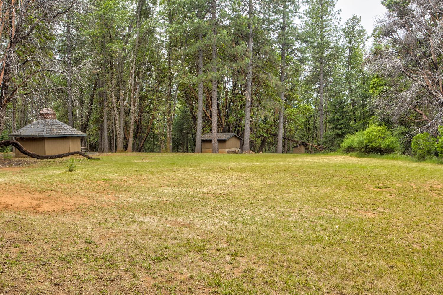 26270 Foresthill Road Foresthill, CA 95631 - Photo 18 of 54