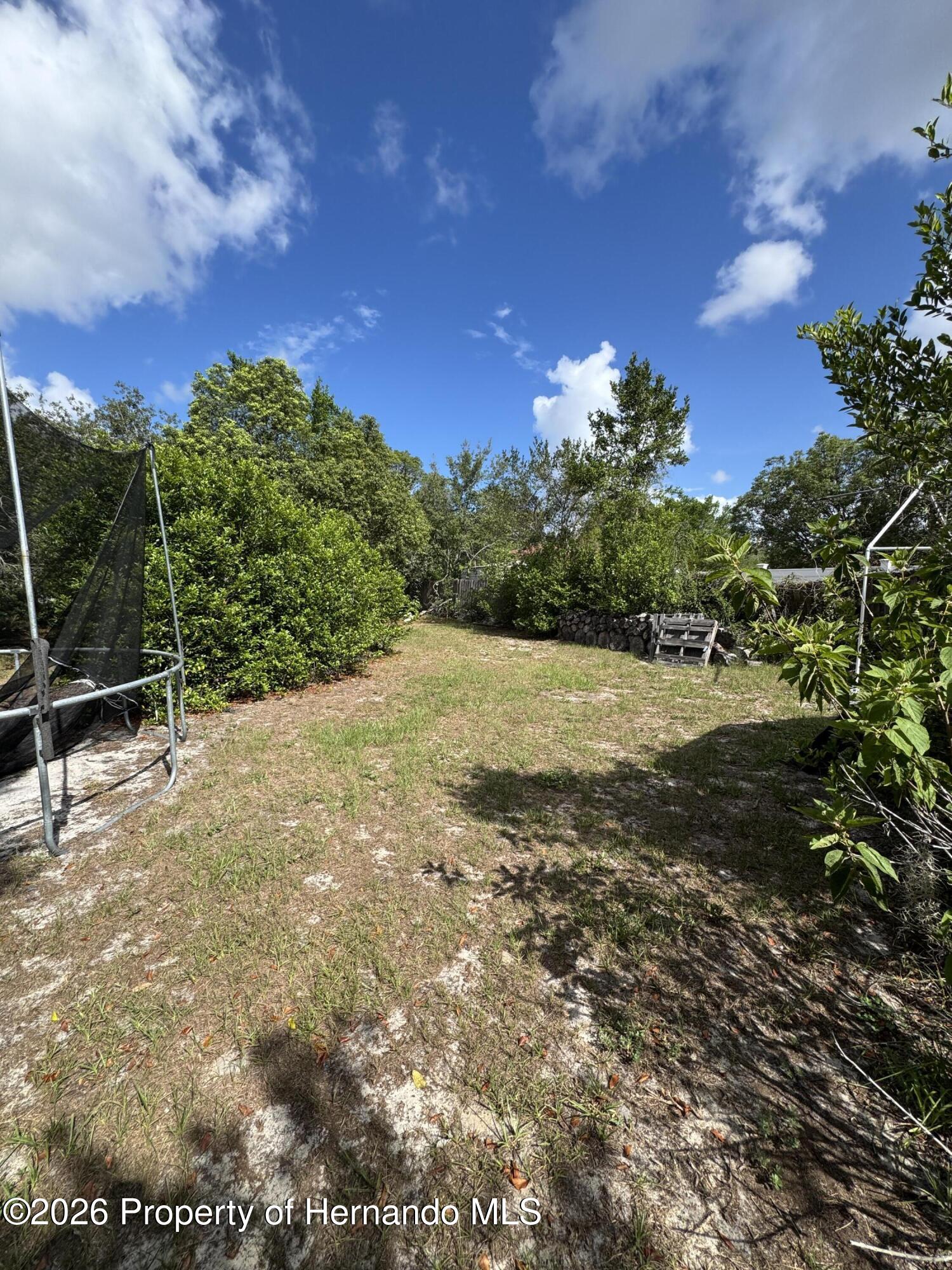 12169 Genter Drive Spring Hill, FL 34609 - Photo 8 of 14