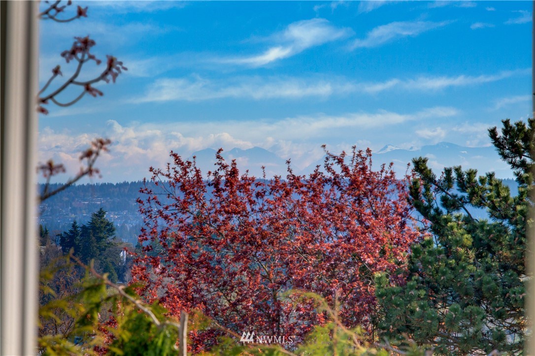 2400 East Howell Street, Unit E Seattle, WA 98122 - Photo 11 of 39 unknown