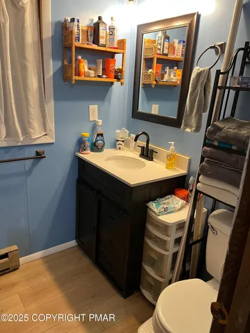 a bathroom with a sink a toilet and a mirror