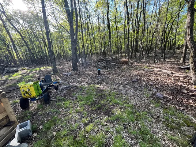 a backyard of a house with lots of green space