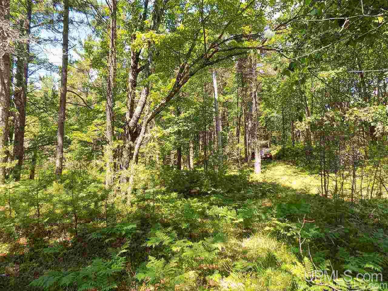 Tbd Top O Lake Road Gulliver, MI 49840 - Photo 19 of 38