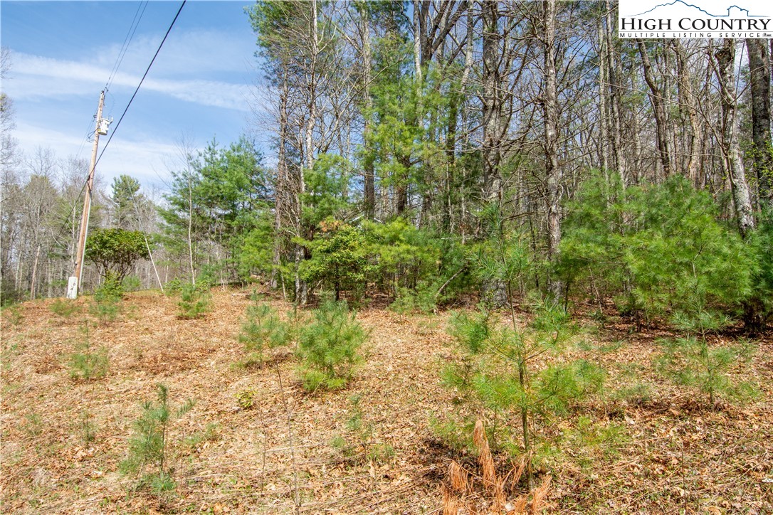 Oak Tree Lane Jefferson, NC 28640 - Photo 3 of 6