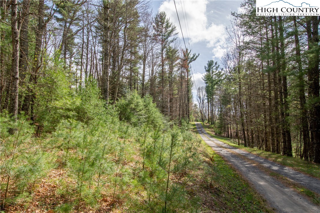 Oak Tree Lane Jefferson, NC 28640 - Photo 4 of 6