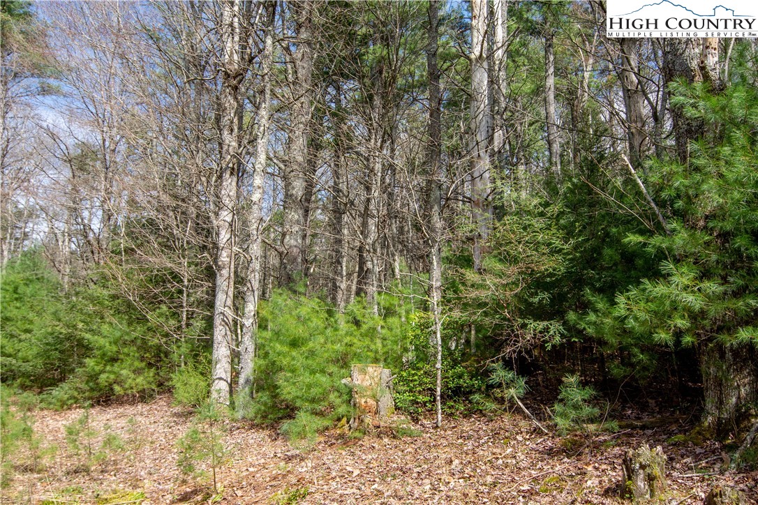 Oak Tree Lane Jefferson, NC 28640 - Photo 6 of 6