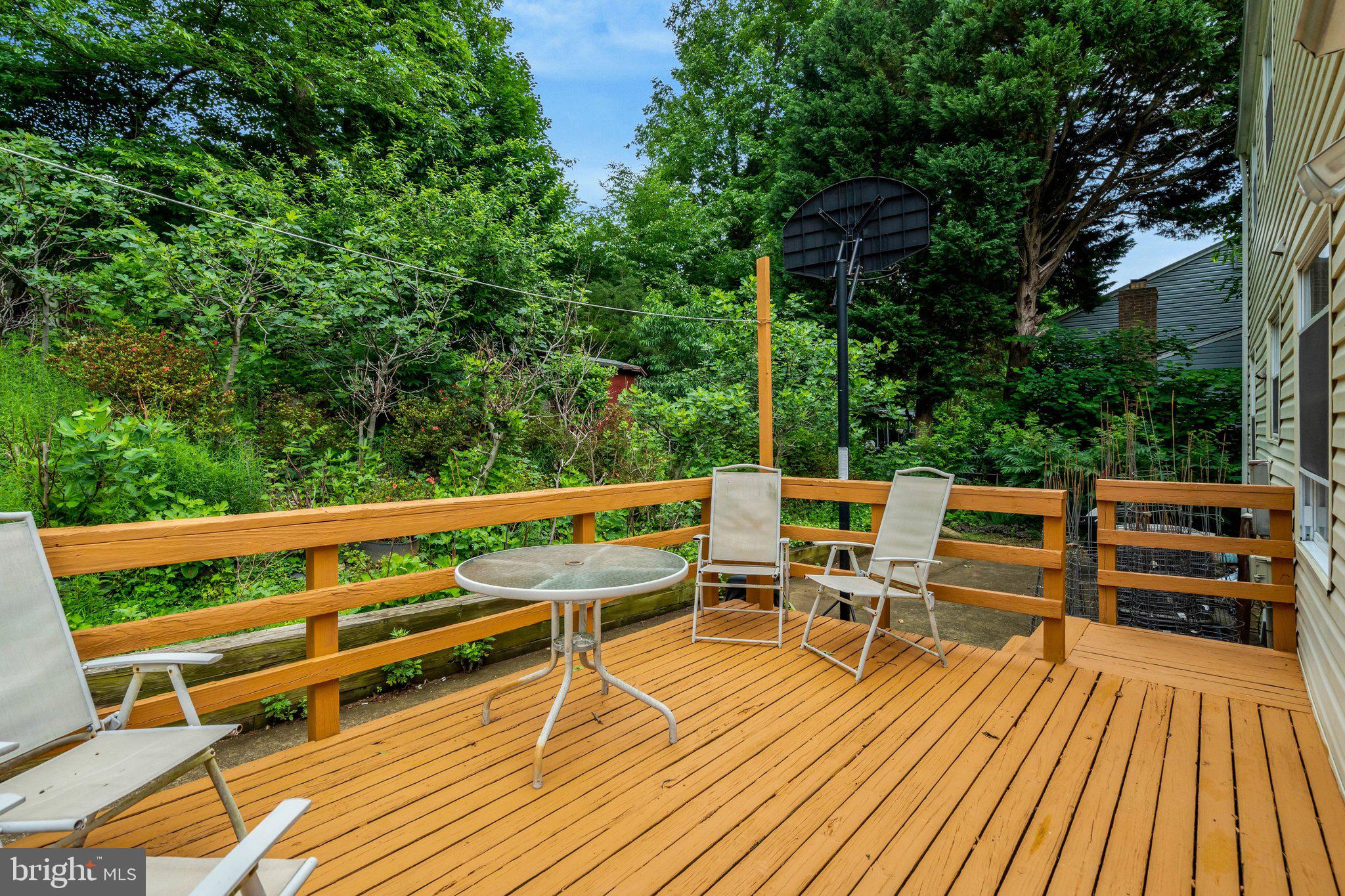 5759 Heming Avenue Springfield, VA 22151 - Photo 47 of 54