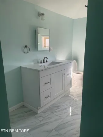 a bathroom with a sink a toilet and mirror