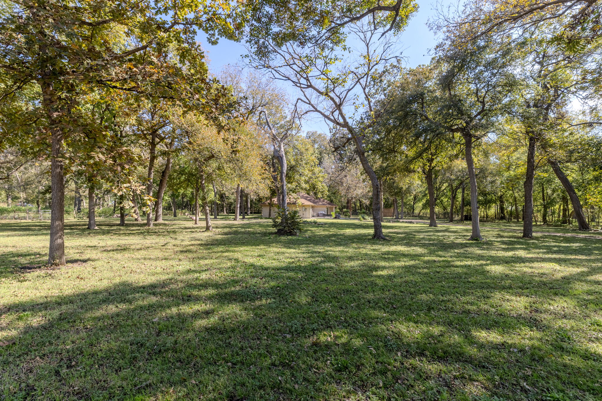 75 County Road 129 Taylor, TX 76574 - Photo 34 of 40 View of grassy yard with view of wooded area
