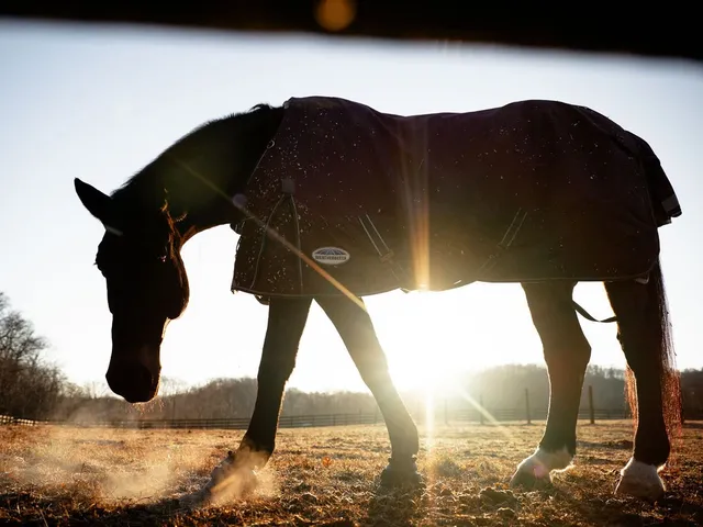a view of balcony with wooden floor