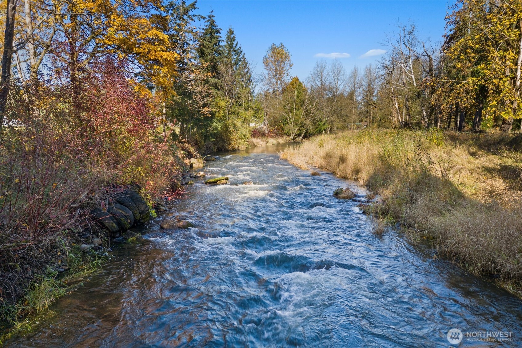 153 A Walhaupt Road Onalaska, WA 98570 - Photo 27 of 38 a view of a yard with a tree