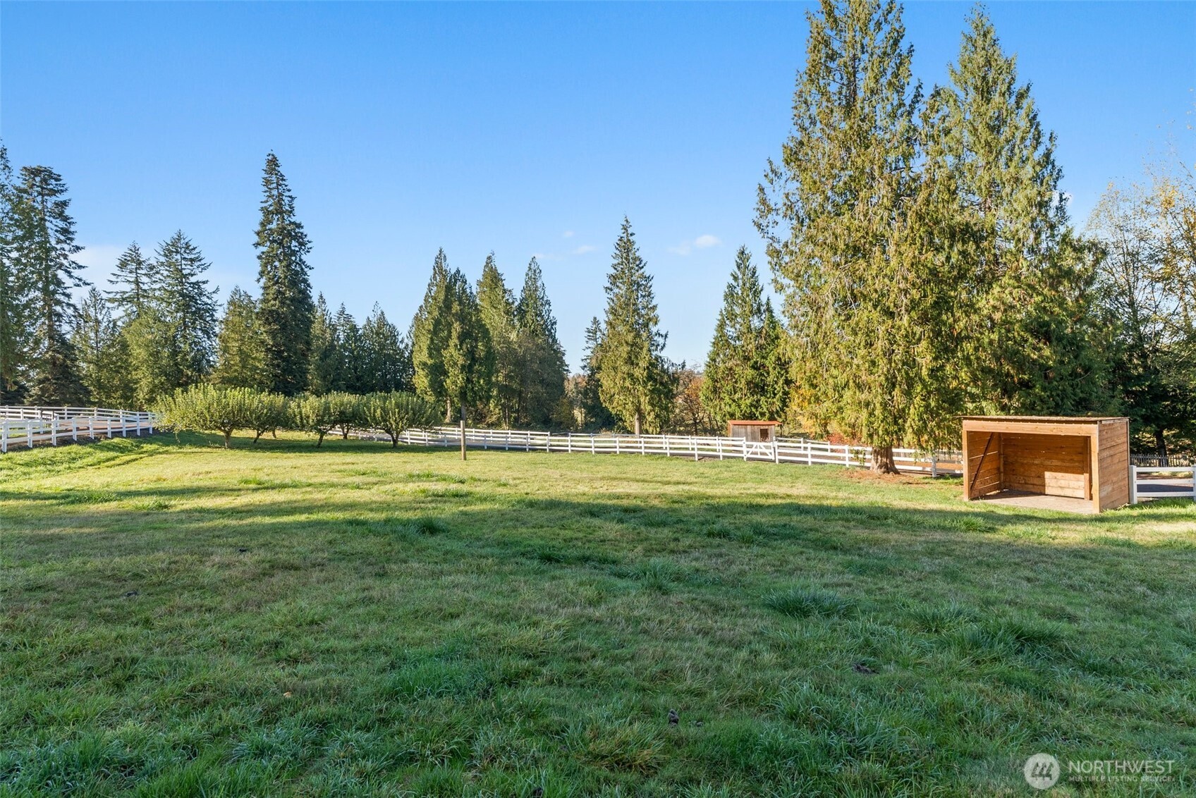 153 A Walhaupt Road Onalaska, WA 98570 - Photo 36 of 38 a view of a green field