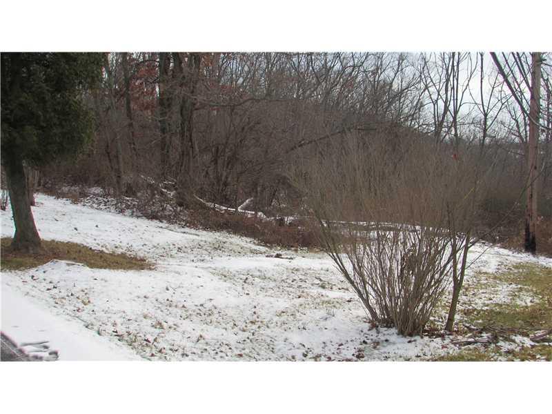 1233 Spring Run Road Extension Coraopolis, PA 15108 - Photo 21 of 25 Exterior Back.