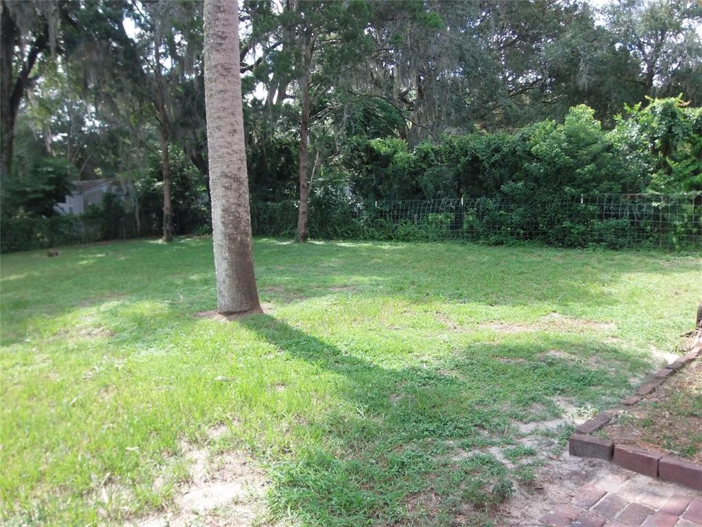320 North Rhodes Street Mount Dora, FL 32757 - Photo 16 of 33 a view of a garden with trees