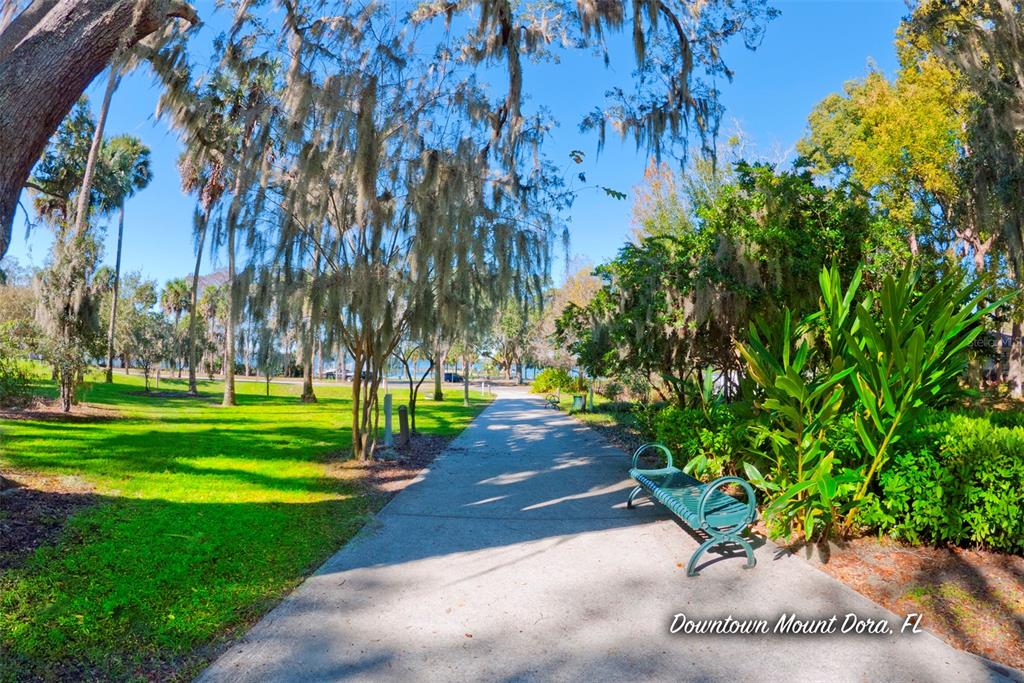 320 North Rhodes Street Mount Dora, FL 32757 - Photo 18 of 33 a view of a park with a tree in the background
