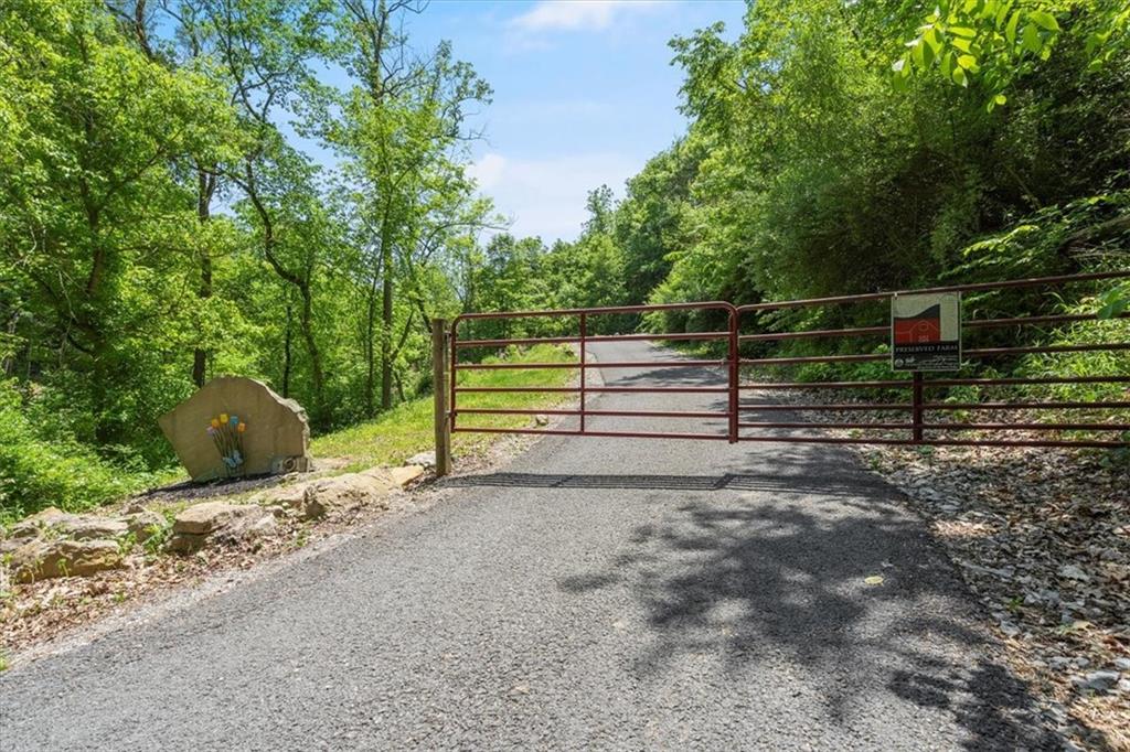 a view of backyard with green space