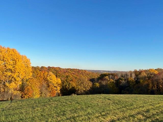 101 Boyds Run Road Presto, PA 15142 - Photo 22 of 24 a view of yard with mountain