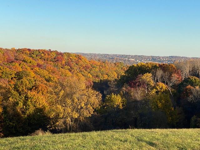 101 Boyds Run Road Presto, PA 15142 - Photo 23 of 24