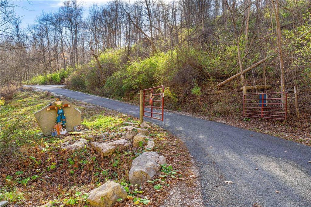 101 Boyds Run Road Presto, PA 15142 - Photo 6 of 24 a view of a yard with plants and trees