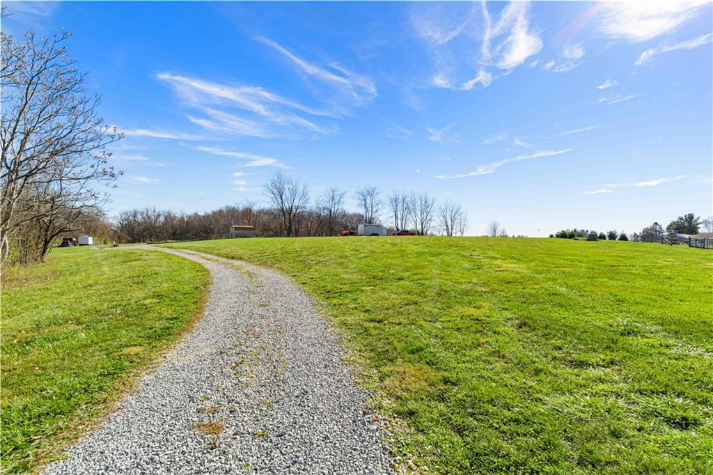 101 Boyds Run Road Presto, PA 15142 - Photo 8 of 24 a view of a field with an tree in back