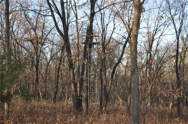 $460,000 | 169 Highway Grant City Mo 64456, Worth, MO 64499