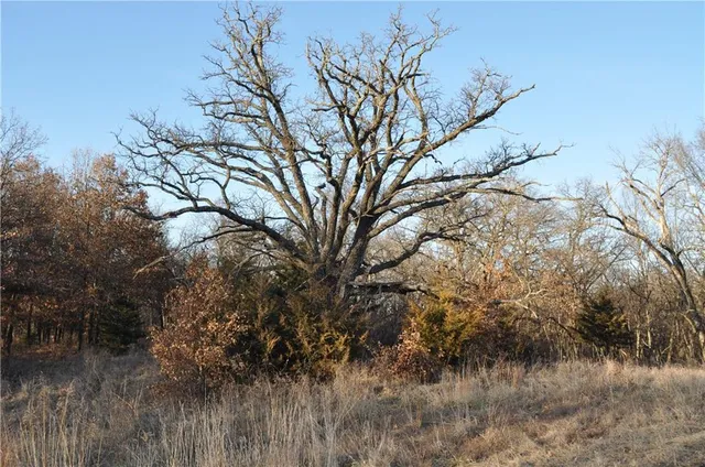 $460,000 | 169 Highway Grant City Mo 64456, Worth, MO 64499