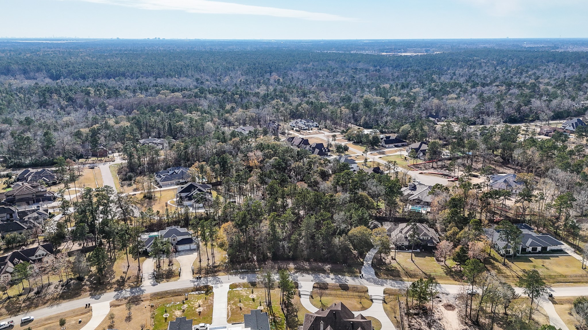 27440 South Lazy Meadow Way Spring, TX 77386 - Photo 4 of 13