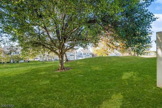 a big yard with lots of green space and trees