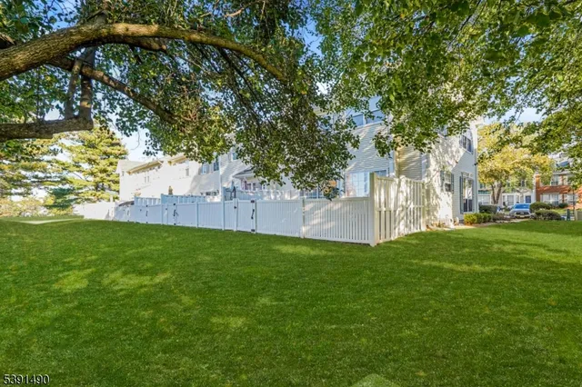 a view of a yard with a tree