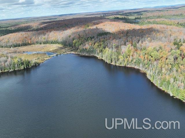 5800 Wolf Lake Road Watersmeet, MI 49969 - Photo 82 of 86