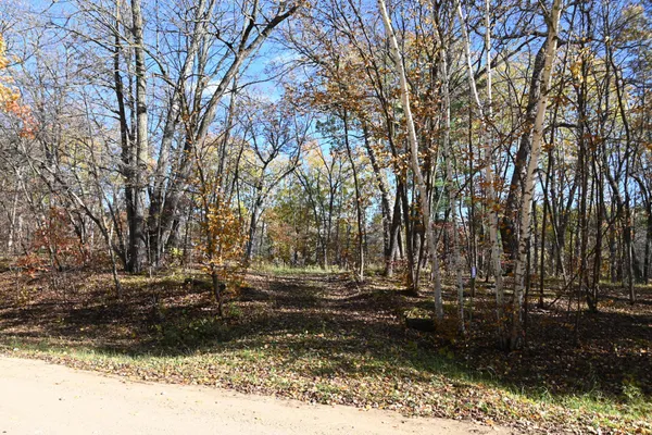 $8,500 | 39906 Pine Island Point Drive, Browerville, MN 56438