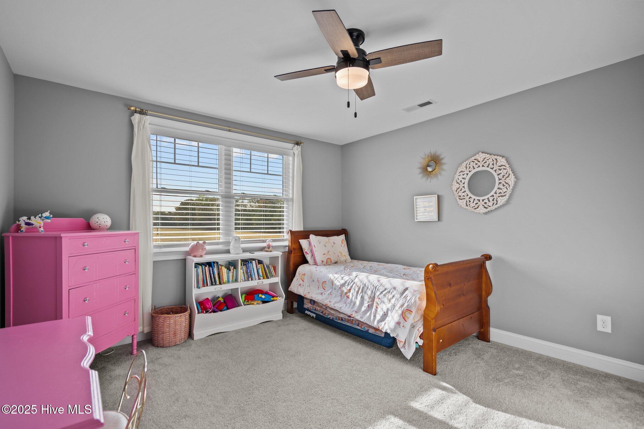 660 Mills Road Mount Olive, NC 28365 - Photo 27 of 35 66-web-or-mls-DSC05650