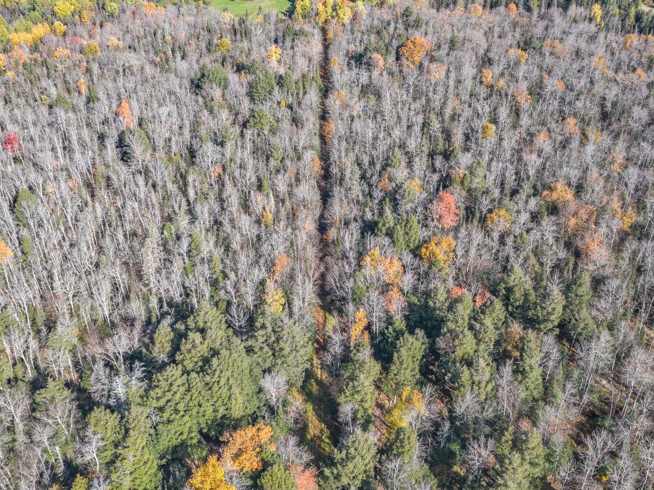 18-1490 Hawk Soup Road Phelps, WI 54554 - Photo 6 of 12 Gallery Image 6