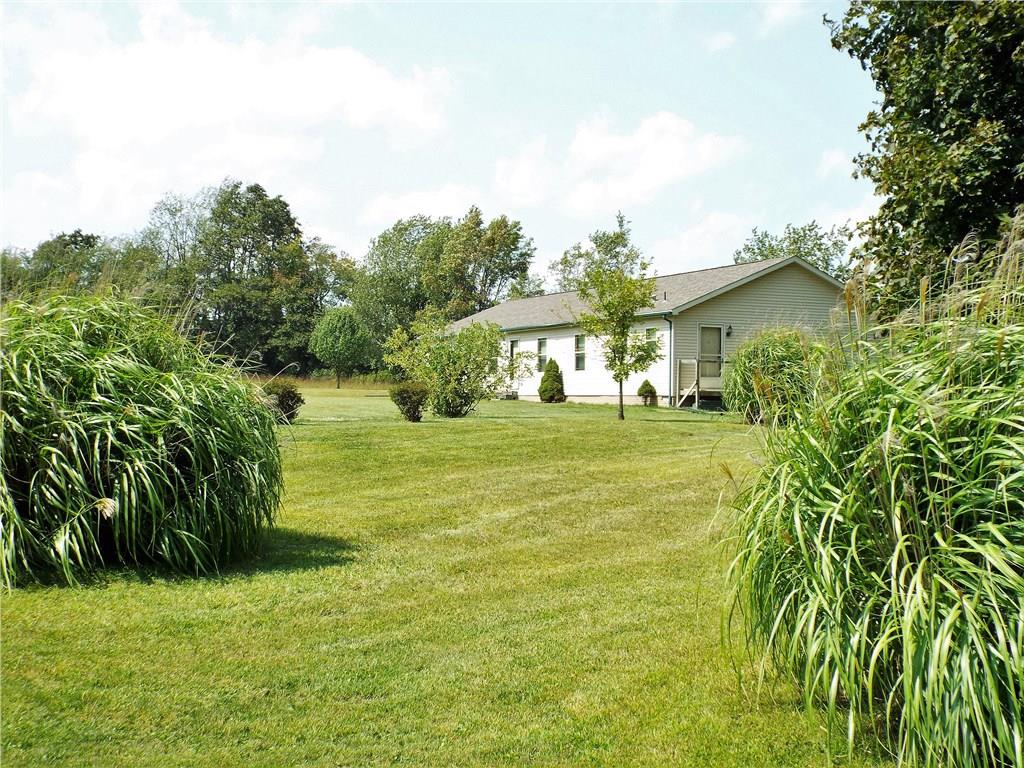 119 Fishpot Road Aliquippa, PA 15001 - Photo 24 of 24 Front Yard.