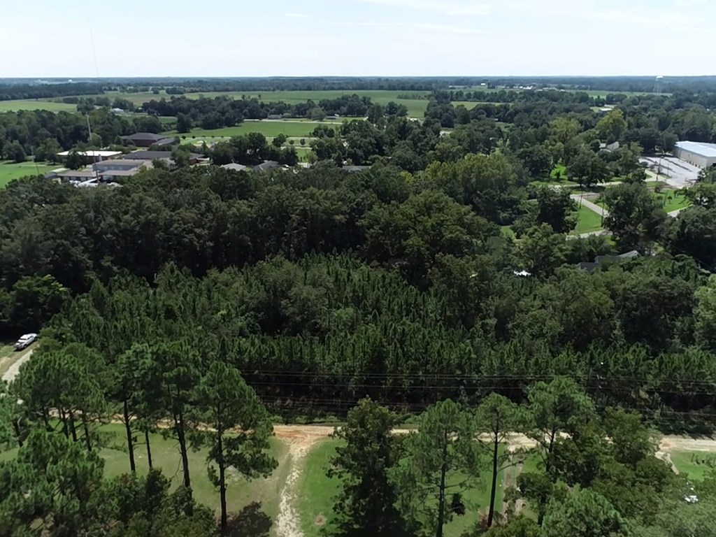 2.59 Cypress Rd/dexter Rd/ Worrell Street Eufaula, AL 36027 - Photo 3 of 9